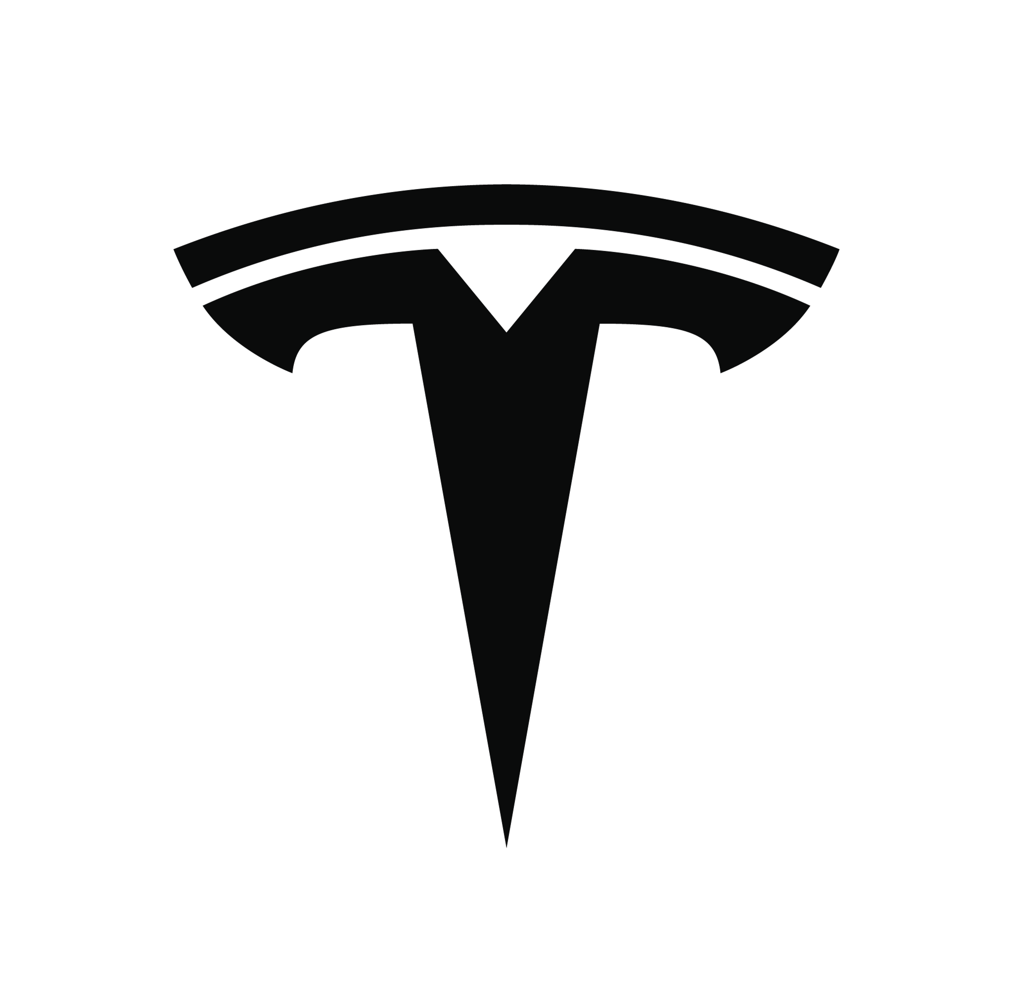 Tesla Logo